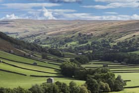 Swaledale (Image: NYCC)
