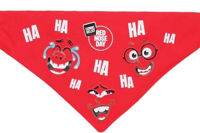 The red nose dog bandana.