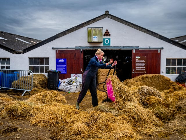 Henrietta Jarvis, aged 20, of Boroughbridge, taking part in the early morning job of mucking out at the Great Yorkshire Show