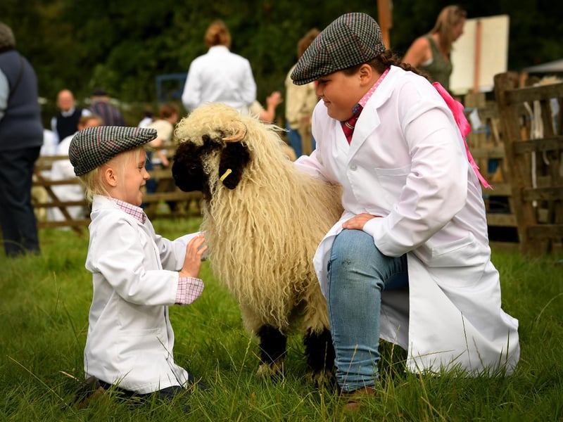 The Thornton-le-Dale is set to take place on August 6. The show attracts visitors from far and near. There is something for everyone to enjoy from livestock to crafts to trade stand.