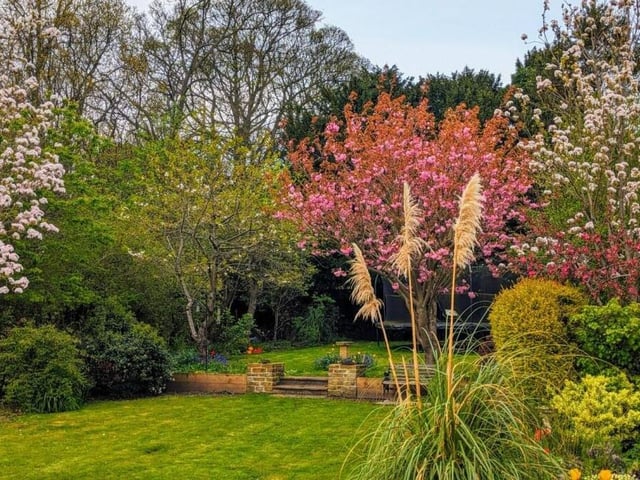 A section of the colourful and well established lawned gardens.