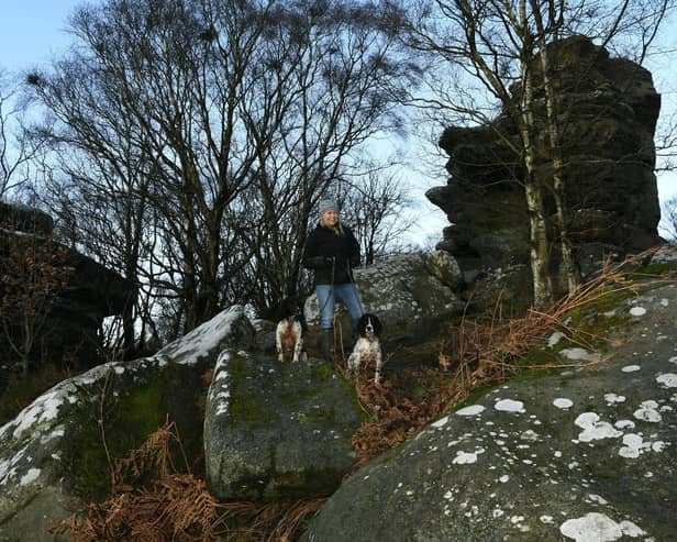 Marsha Barrett stops to take in the view on a walk with her dogs Holly and Bonnie at Brimham Rocks, near Pately Bridge