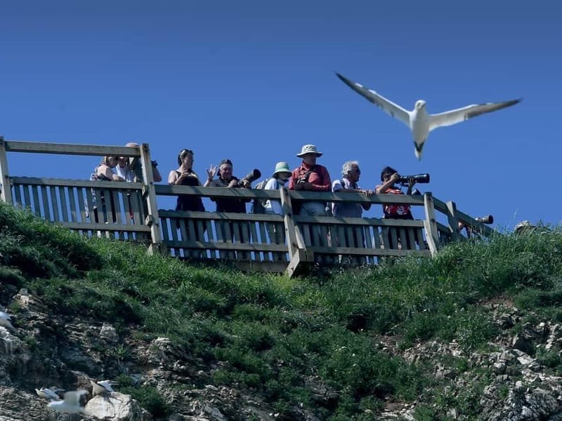 Between Friday, April 1 and Sunday, April 24, the RSPB at Bempton Cliffs are hosting their 'That’s not my Nest’ Easter trail, which is aimed at children aged 3-11 years old, but grown-ups can also join in. There’s no need to book, just turn up and activity sheets are available from the visitor centre (£3 each).