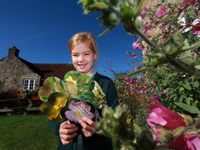 Learning about flowers