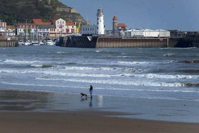 Lone walkers on the beach in South Bay, Scarborough.Picture by Simon Hulme.