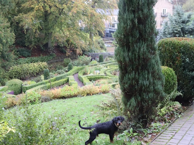 Four-legged friends will have a ball at one of the most dog-friendly hotels in the Whitby area.