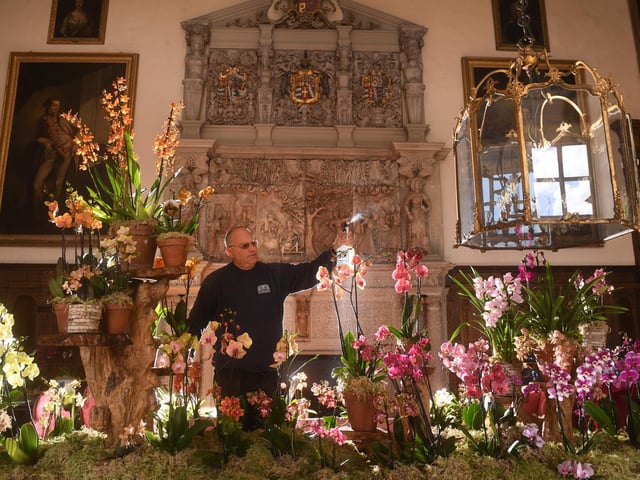 Visitors will also be to choose orchids to purchase from a wide selection for sale in the Top Glasshouse.