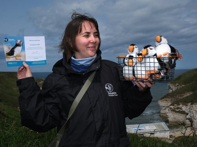 Helen Jones with her 'adopt a puffin' cards.