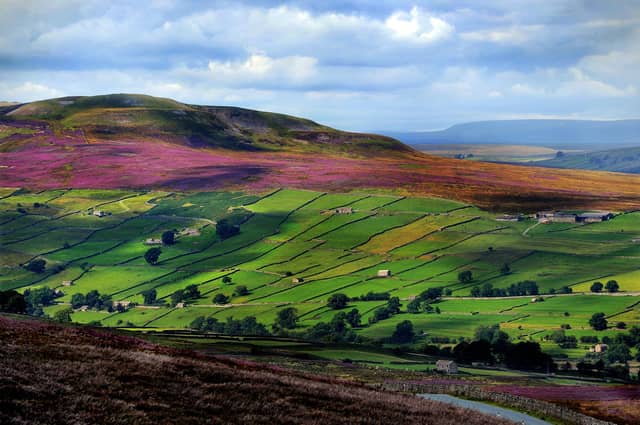 Famous things Yorkshire has given the rest of the country, if not the world.