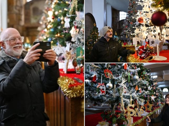 Christmas trees on display at Whitby's St Mary's Church.