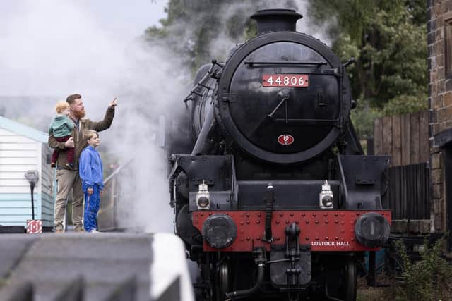 Families enjoying looking at steam trains.
