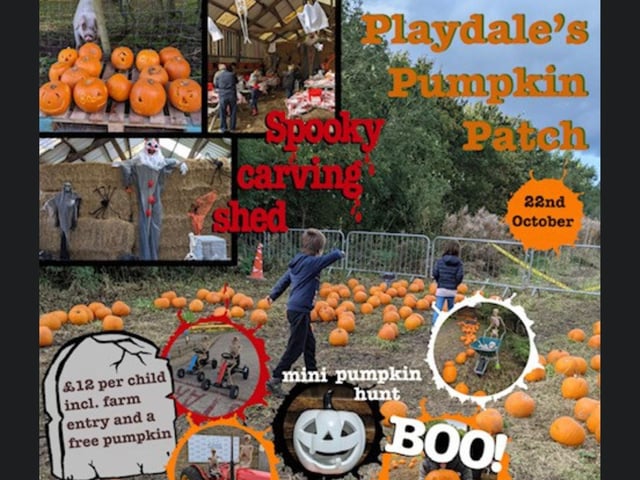 Playdale Famr's Pumpkin Patch is open from October 26 until October 31. Returning for its 4th year this October is Playdale’s Pumpkin Patch! Children visiting Playdale on the pumpkin patch dates will all get a free pumpkin to choose from the patch and carve in the spooky carving shed. Make sure you take some pictures with the halloween decorations and see if you can find all the mini white pumpkins hidden around the farm to get a prize!