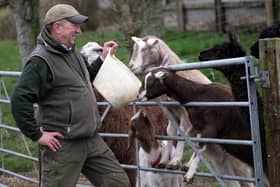 Farmer Percy Waters at Humble Bee Farm feeding the animals.
picture: Richard Ponter