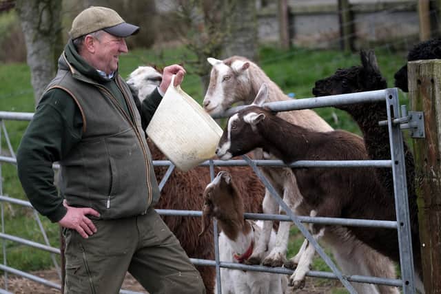 Farmer Percy Waters at Humble Bee Farm feeding the animals.
picture: Richard Ponter
