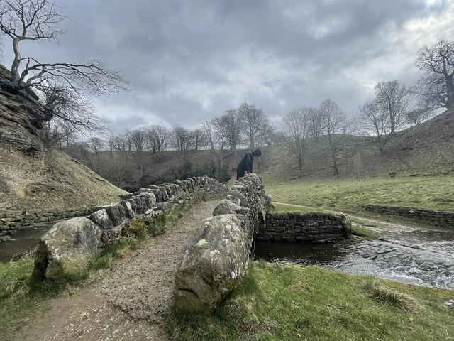The terrain is fairly easy, mostly on green or gravel, easily navigable flat paths. This walk from the centre of the city is ideal if your dog likes a good paddle or a swim. The enclosed paths also provide safe off-lead opportunities for well-behaved pooches.
