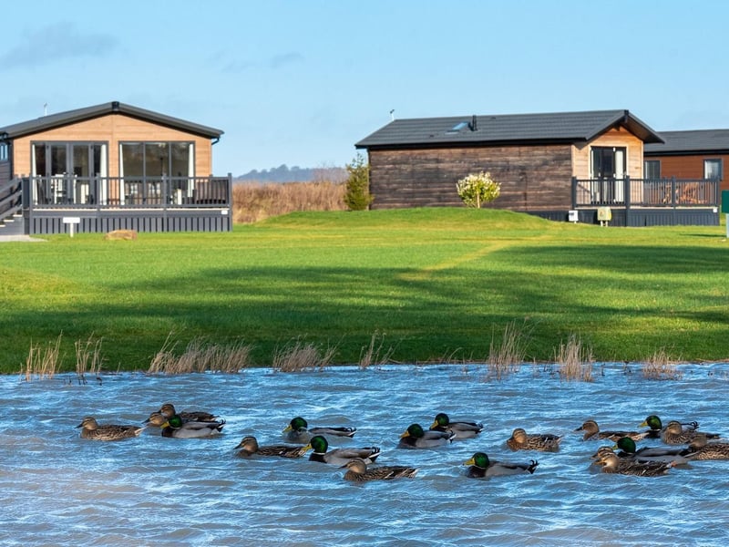 The park's tranquil location is the perfect place to relax