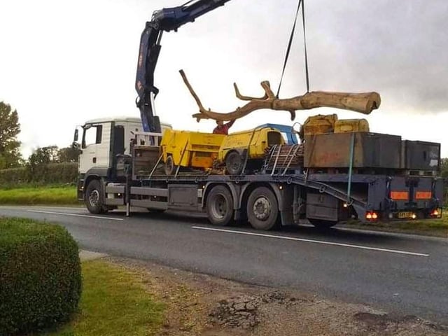 The oak tree on its way to the cottage.