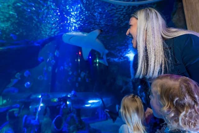 Residents with YO postcodes can benefit from 50% off SEA LIFE Scarborough tickets for a limited time
