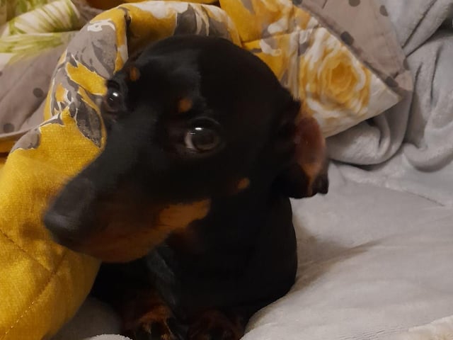 Betty being Betty!
