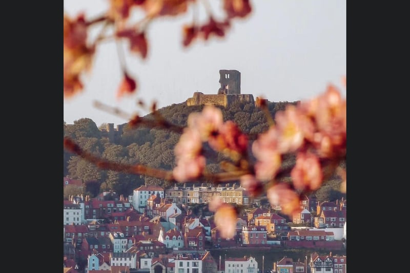 A beautiful blossom framed view of Scarborough.