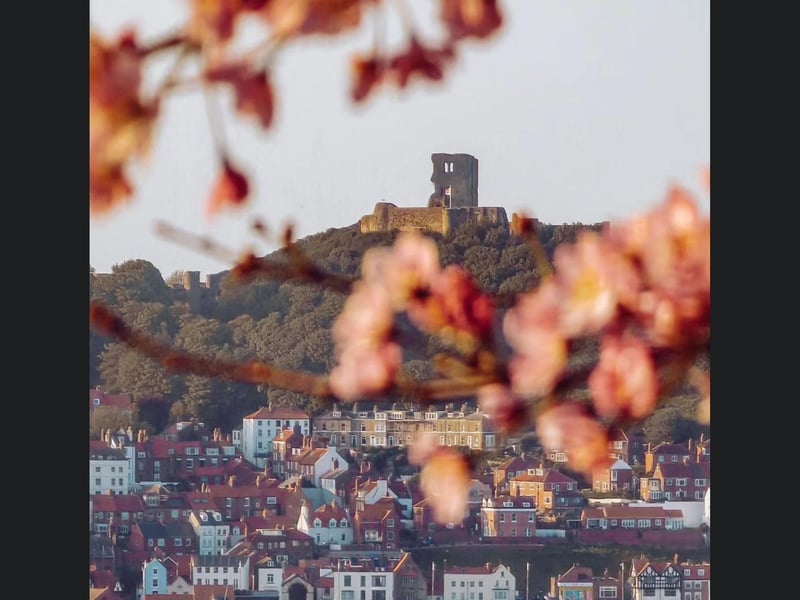 A beautiful blossom framed view of Scarborough.