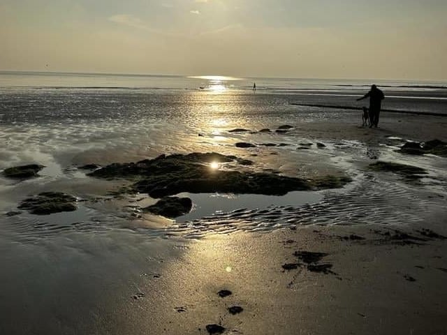 A sunny day on the beach.