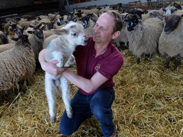 Sledmere House are hosting their lambing sessions where you can meet their newborn lambs, enjoy cuddles with the fluffy babies and if you're lucky enough, you could even feed them. Normal admission prices apply, and you can buy tickets on the Sledmere House website.