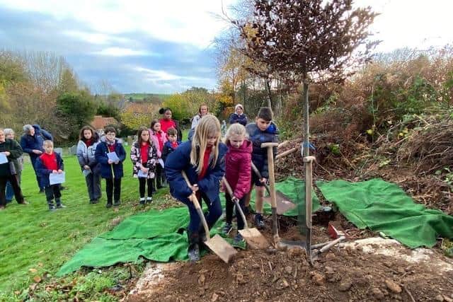 Pupils from Newby and Scalby Primary School have planted a beech tree in honour of the late Queen Elizabeth.