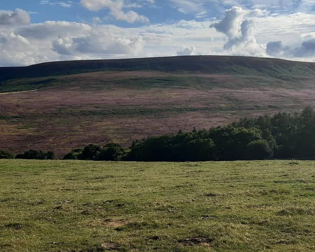 The North York Moors National Park Authority is aiming to restore various areas of peatland Picture: LDRS