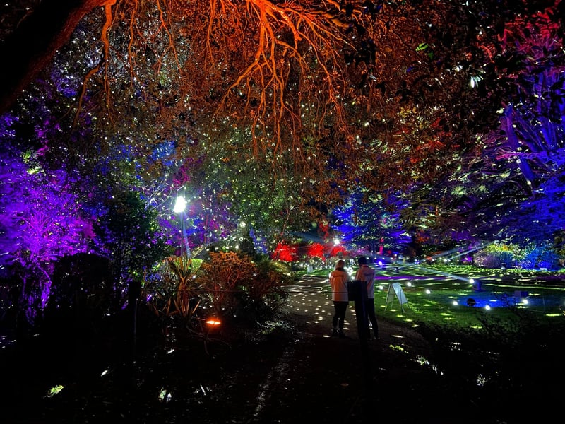The combination of the stunning nature surrounding the house and the dazzling lights makes this wonderland so memorable.