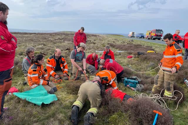 It was a complicated rescue, with specialist equipment needed in order to reach the dog, who had fallen approximately 6.5 meters underground.