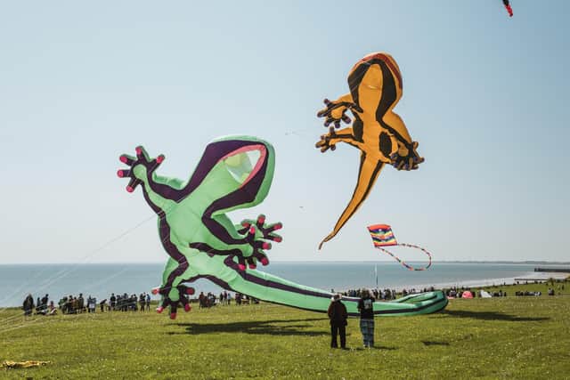 The Bridlington Kite Festival. Image courtesy of ERYC