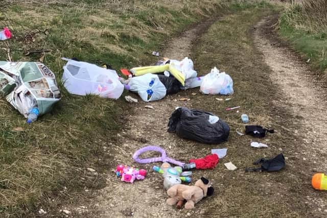 Rubbish belonging to Aurelia Pearson was found strewn on the side at Fordon.