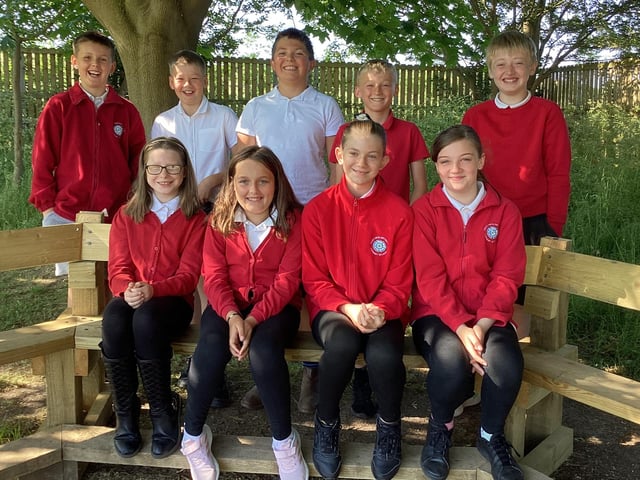 West Heslerton School Farthing Wood class.