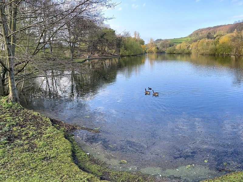 The Mere, Scarborough.
picture by Tony Freeman.