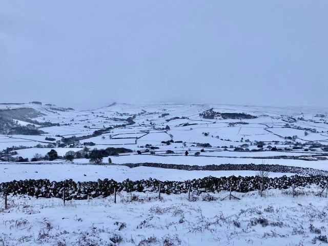 Oakley Walls.