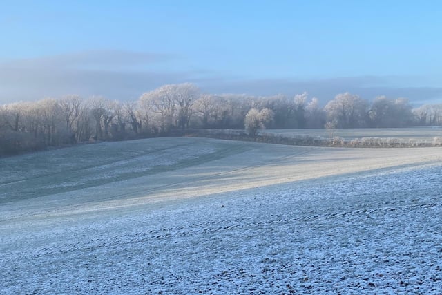 Picture taken around the top of Forge Valley.