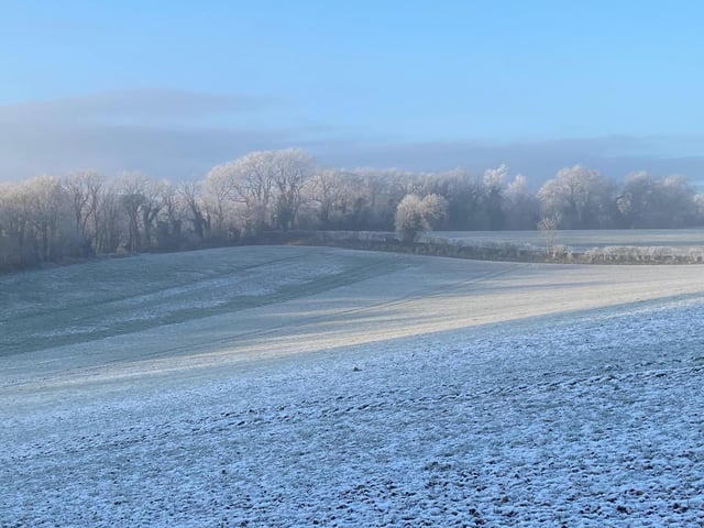 Picture taken around the top of Forge Valley.
