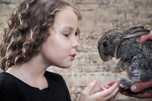 Showing a rabbit love (photo: Adobe)