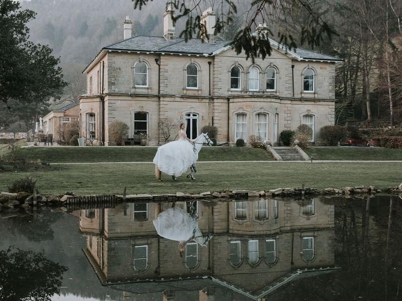 A white horse for the bride.
picture: Angela Waites