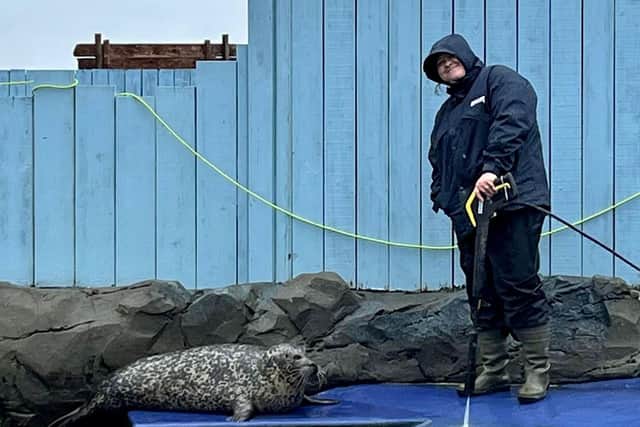 Cleaning the seal pen