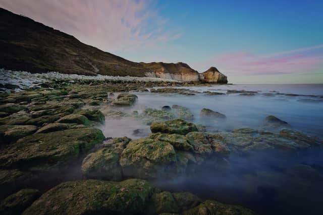 One of Yorkshire Wildlife Trust's many beautiful reserves is at Flamborough Head. Photo:Yorkshire Wildlife Trust/ Bill Richards