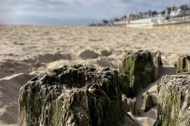 Debra Clark-Kachlon framed this super beach shot.
