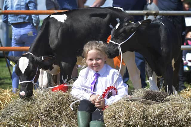 Evie Hunter with her prize winning cows at Egton Show in 2019. Pic Richard Ponter