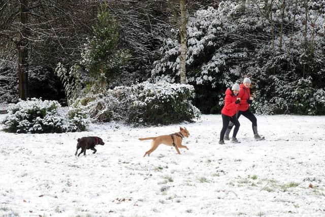 Dog walkers in Roundhay Park in the snow. (Pic credit: Steve Riding)