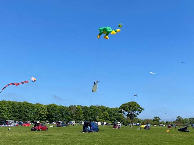 Kites in the sky