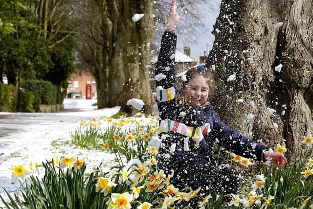 The first weekend of March 2024 could bring some spring snow across the Yorkshire coast. Photo: Richard Ponter