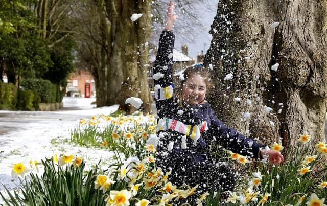 The first weekend of March 2024 could bring some spring snow across the Yorkshire coast. Photo: Richard Ponter