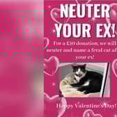 Whitby Wildlife Sanctuary will "neuter and name a feral cat after your ex".