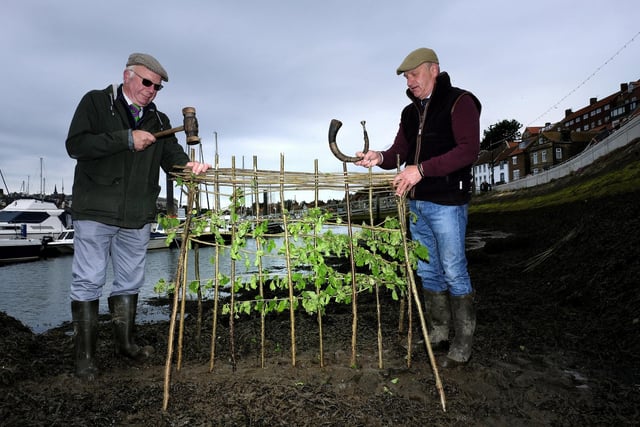 The Penny Hedge is built in Whitby Harbour ... Lol Hodgson and Tim Osborne work on the hedge.
picture: Richard Ponter.